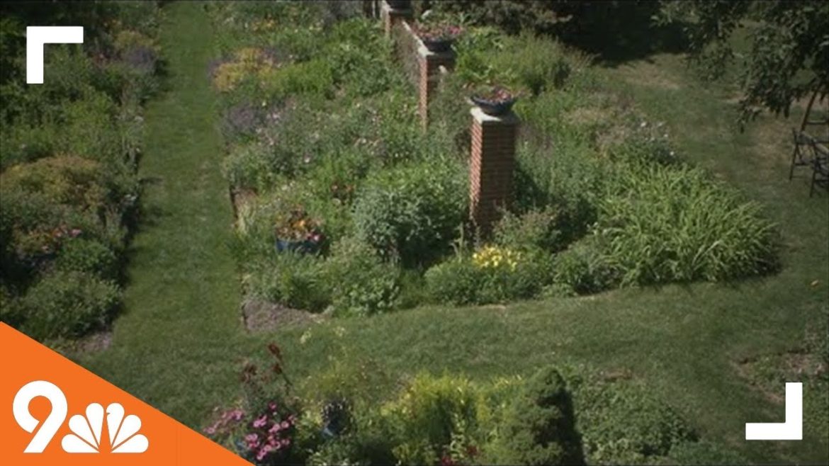 Proctor's Garden: Tips for creating the perfect garden border Proctor's Garden: Tips for creating the perfect garden border