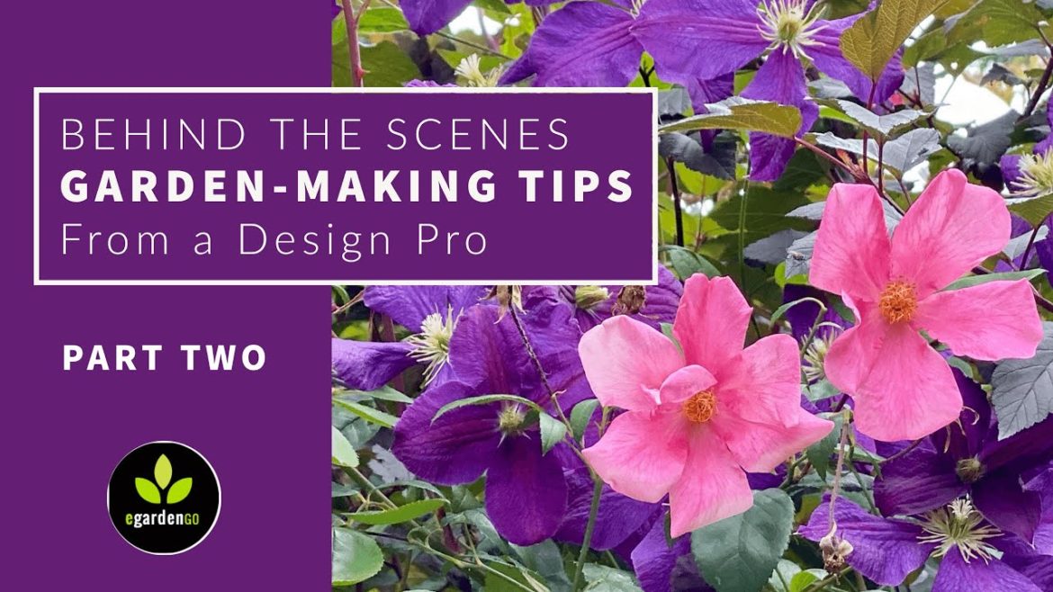 Edits to My Front Yard Garden Design (PART 2)