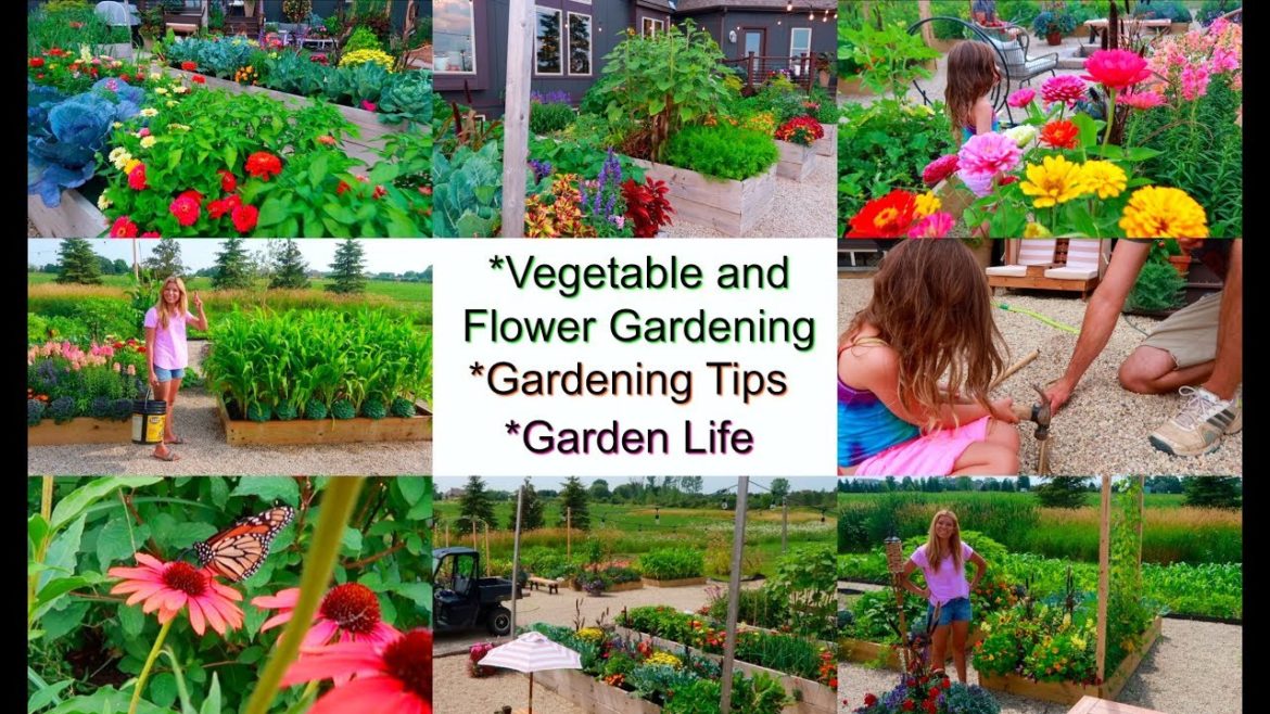 'Vegetable & Flower Gardening | Garden Life | Garden Tips', Just Life in the Garden 3-23