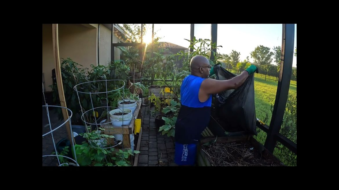Fall Gardening Preparation: Part 2 - Raised Bed and Container Clean Up