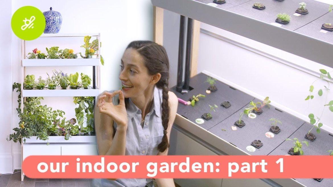 Planting the Garden | Rise Gardens Part One Planting the Garden | Rise Gardens Part One