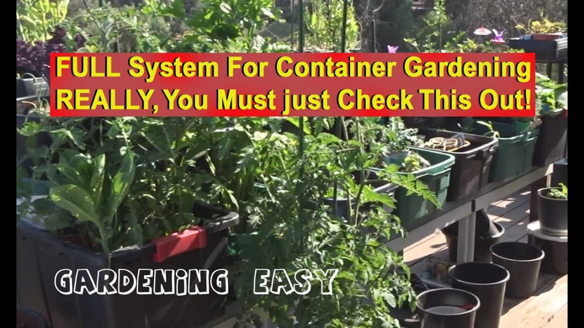 How to Make FREE SOIL * Container Gardening EASY Compost in Place MAKES Plant Fertilizer & Worm Farm How to Make FREE SOIL * Container Gardening EASY Compost in Place MAKES Plant Fertilizer & Worm Farm