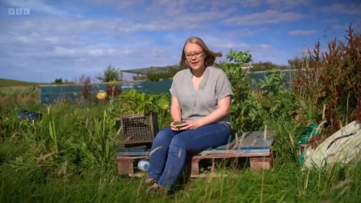 The Beechgrove Garden – Season 44 Episode 25 The Beechgrove Garden - Season 44 Episode 25