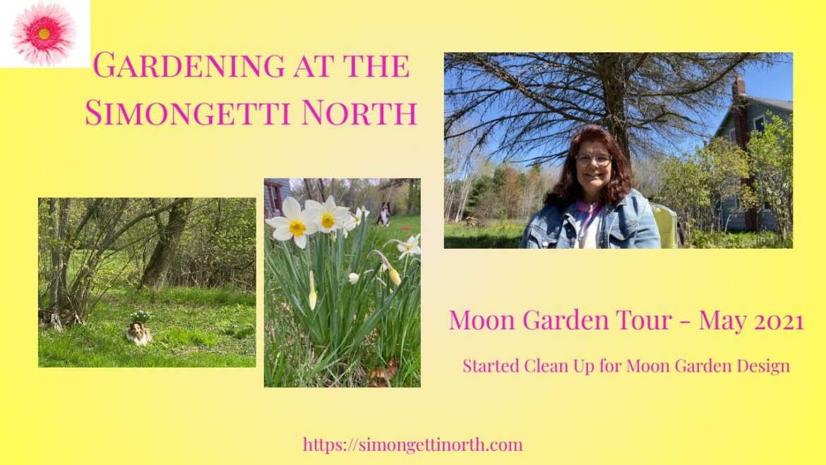 Moon Garden Tour – May 2021 🌼 🌝 🌼🌙// Gardening at the Simongetti North Moon Garden Tour - May 2021 🌼 🌝 🌼🌙// Gardening at the Simongetti North