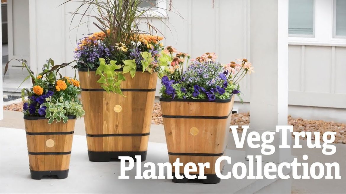 VegTrug™ Planter Collection | Gardener's Supply