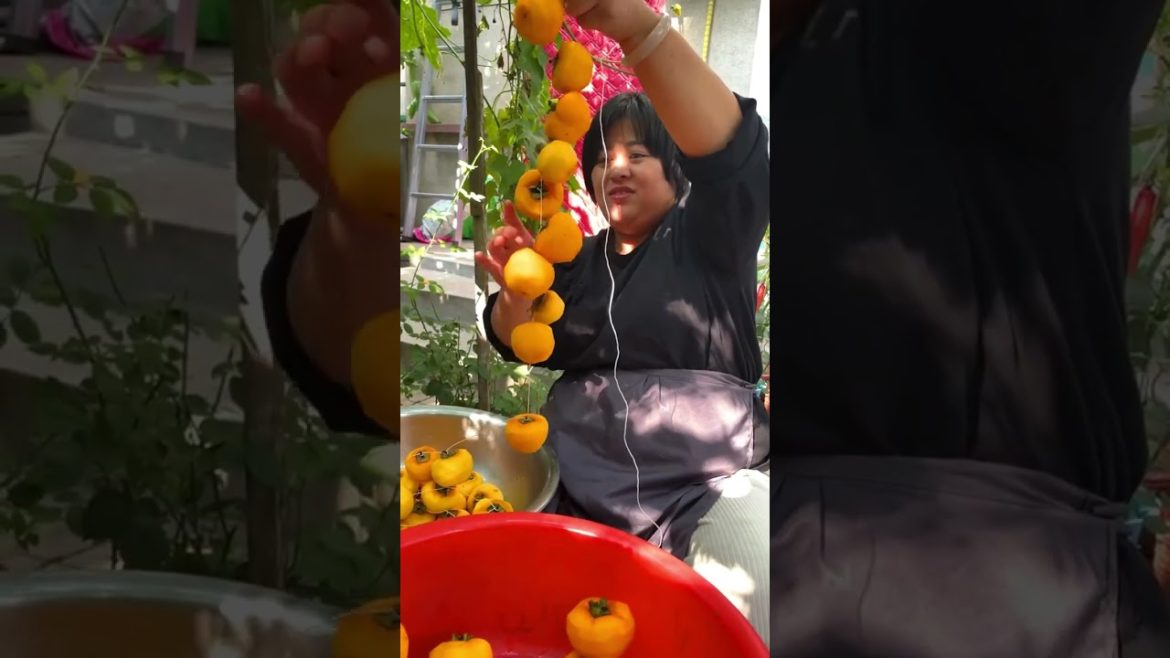 Dried persimmons have a good taste #shorts #fruit #gardener