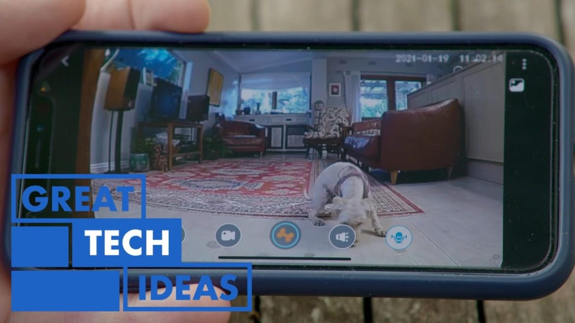 Pet Tech | TECH | Great Home Ideas Pet Tech | TECH | Great Home Ideas