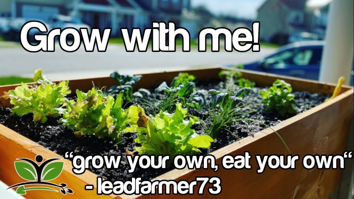 DIY PATIO GARDENING//CONTAINER GARDENING//DIY RAISED GARDEN BED DIY PATIO GARDENING//CONTAINER GARDENING//DIY RAISED GARDEN BED