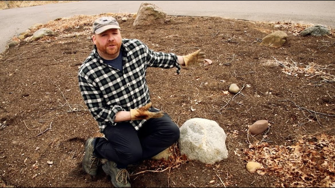 Ep 1: Late March 2020 - Zone 4 Minnesota Gardening