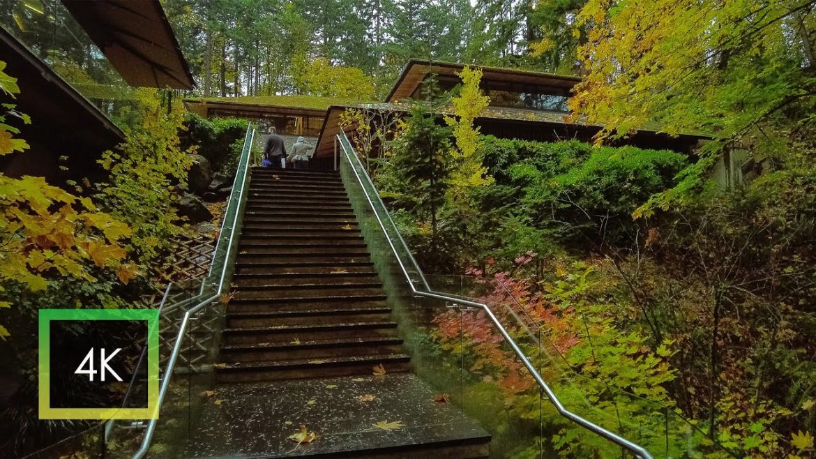 Rain Walk in Portland Japanese Garden | Portland, OR | 4K ASMR