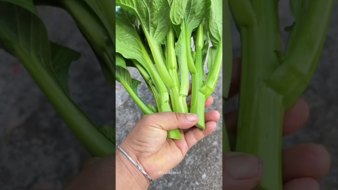 Beautiful Nature with Rural Life #shorts #naturalife #rurallife