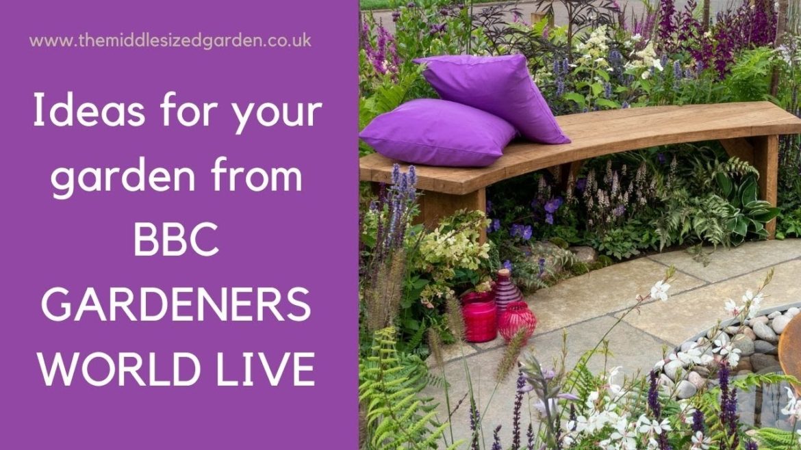 10 best new ideas for your garden from BBC Gardeners World Live