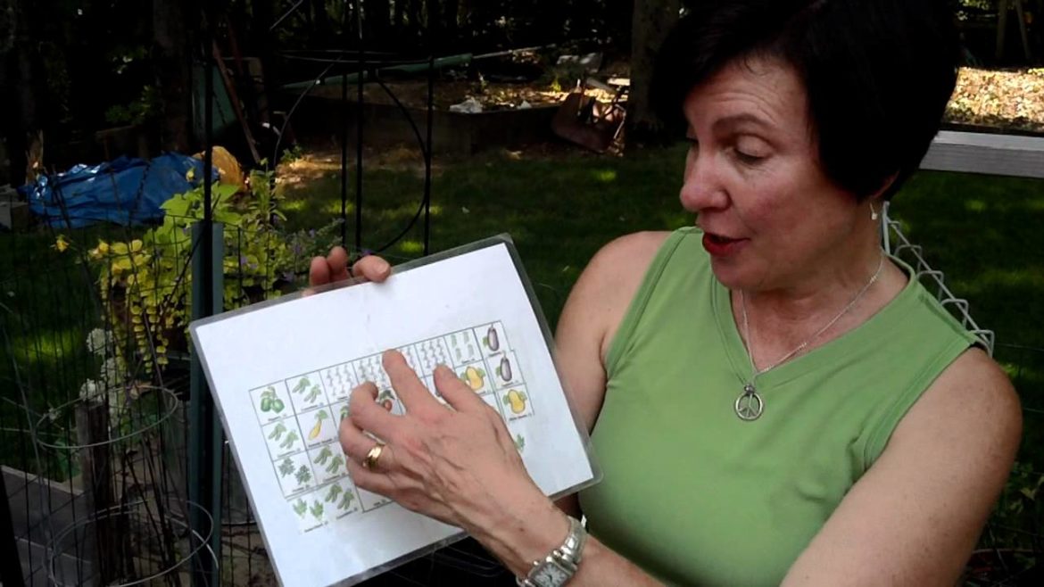 The Square Foot Gardening Health Coach:  Tip of the Day - A Garden Planner Tool