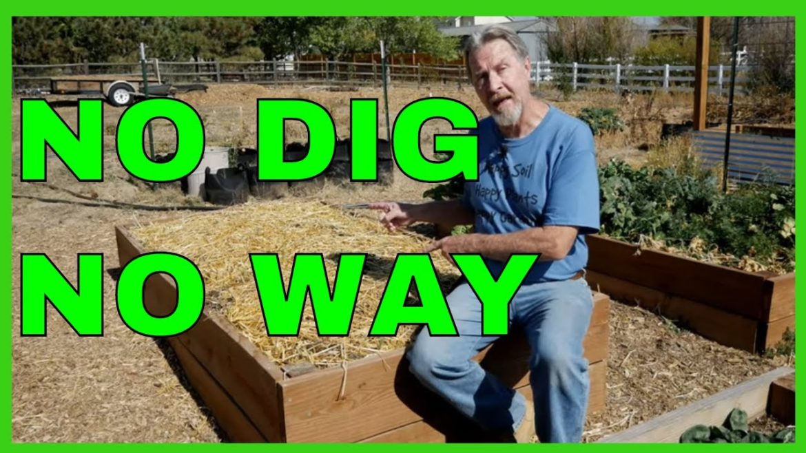 No-Dig Gardening (Why I DON'T Do It) No-Dig Gardening (Why I DON'T Do It)