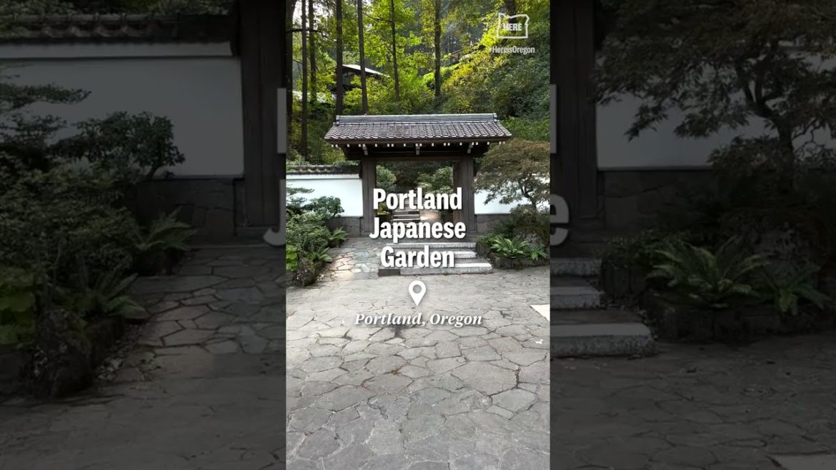 Tour Portland's Japanese Garden #shorts
