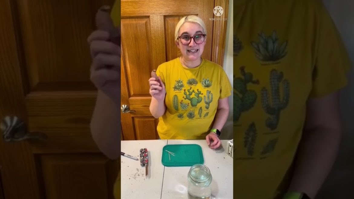 How to Start Seeds: Garden Tips for Beginners (What to Start in March 2022, Part 2, Zone 5)