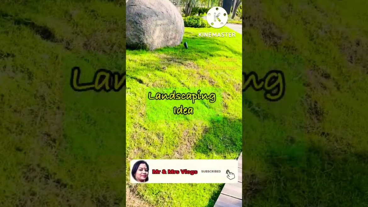 Landscaping Idea | Front Garden Decoration #youtubeshorts #shorts #gardening