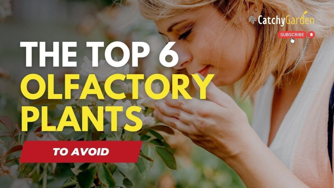 6 Plants That Are Making Your Garden Smell Bad 🥀🌷🌹 // Secret Garden