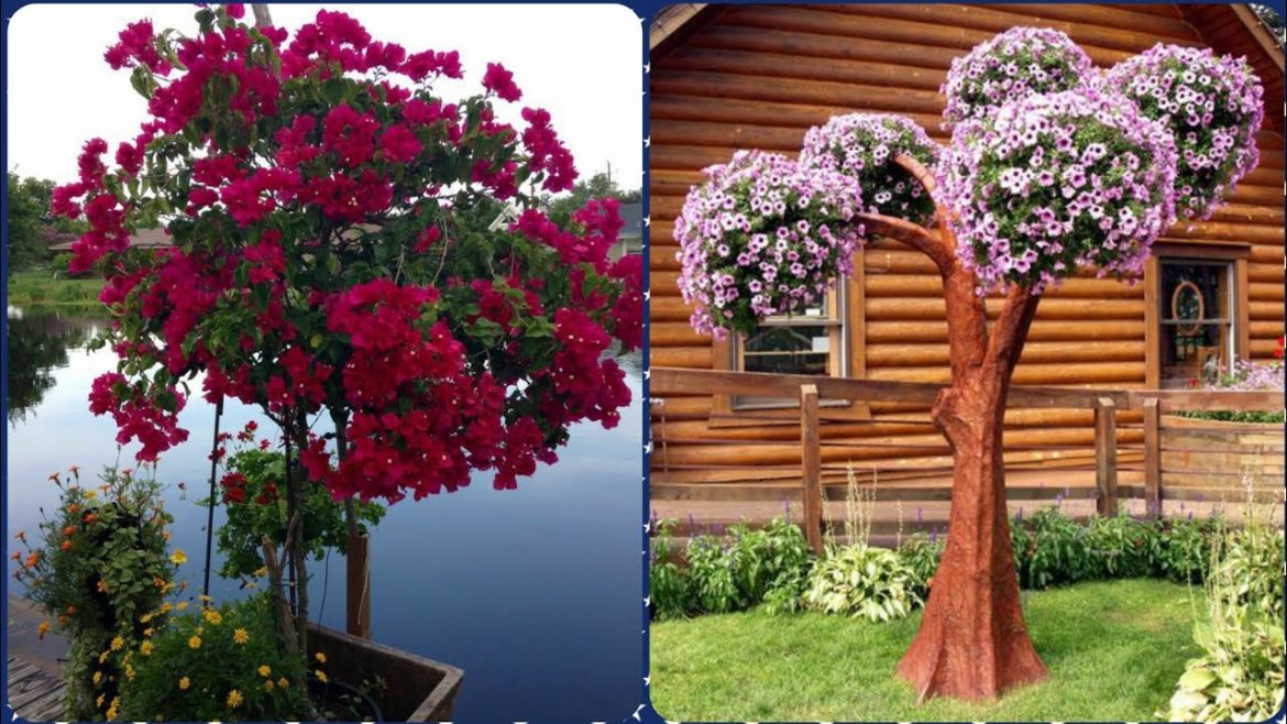 Modern and stylish Garden tree planter decoration ideas and collection - Garden designs