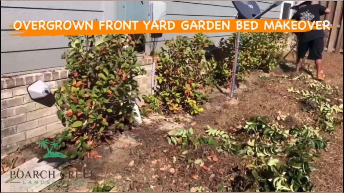 OVERGROWN FRONT YARD GARDEN BED MAKEOVER + (Hedge Trimming) OVERGROWN FRONT YARD GARDEN BED MAKEOVER + (Hedge Trimming)