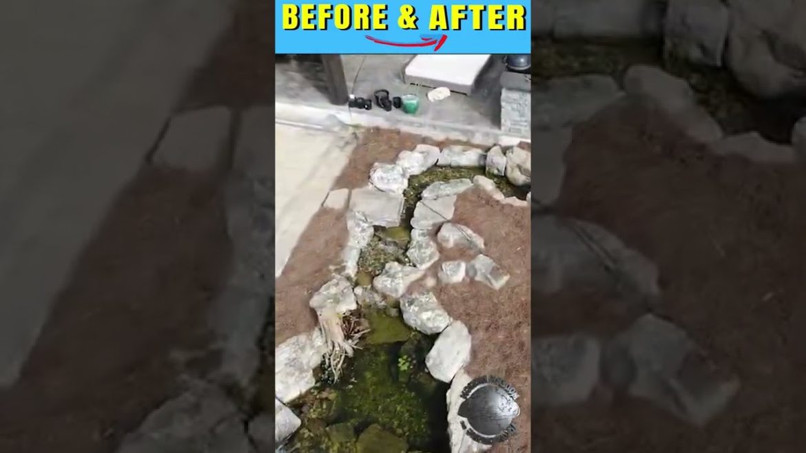 EXCELLENT Before and After Pond and Waterfall on the side of Mountain (SHORT)