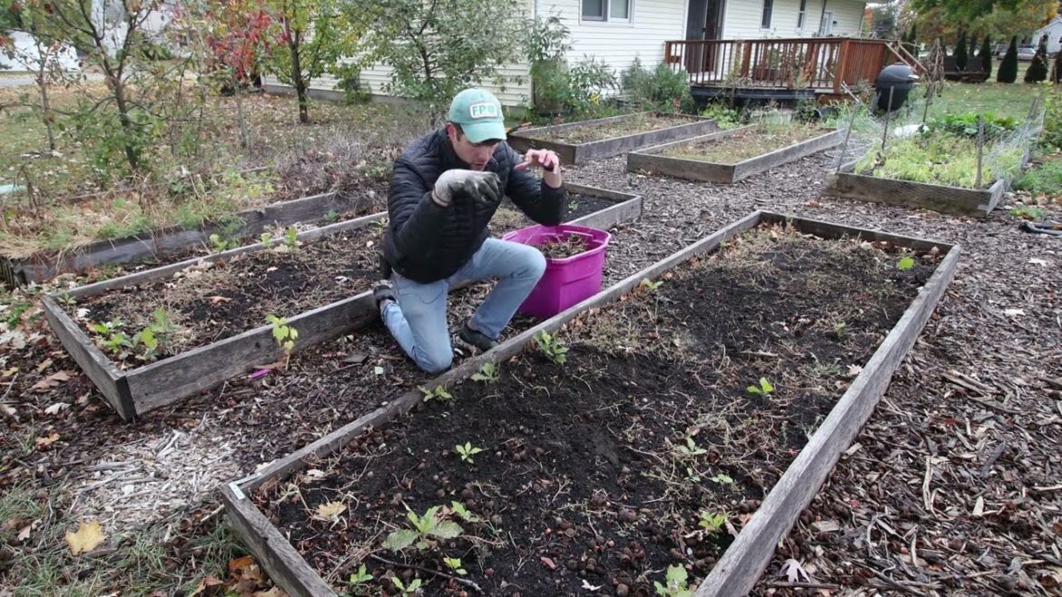 The One Thing You Should NEVER Do to Your Fall Garden
