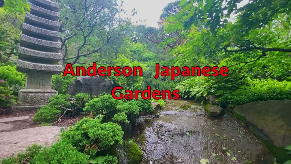 Anderson Japanese Gardens: 2021