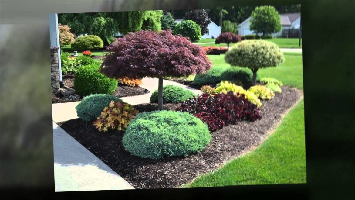 Las Vegas, NV Landscaping - Easy Landscaping Ideas
