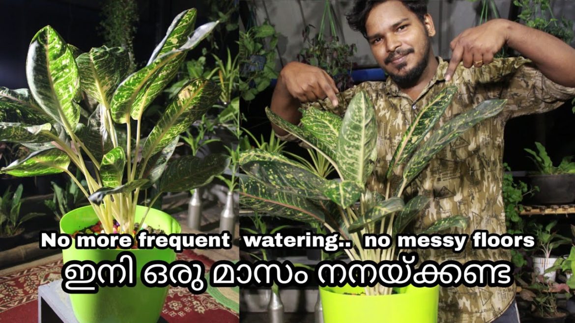 DIY self watering planter | useful garden tips