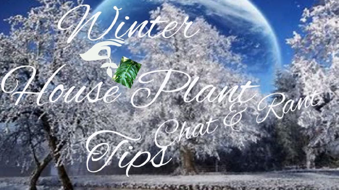 10 Winter Tips Plant Chat & Rants