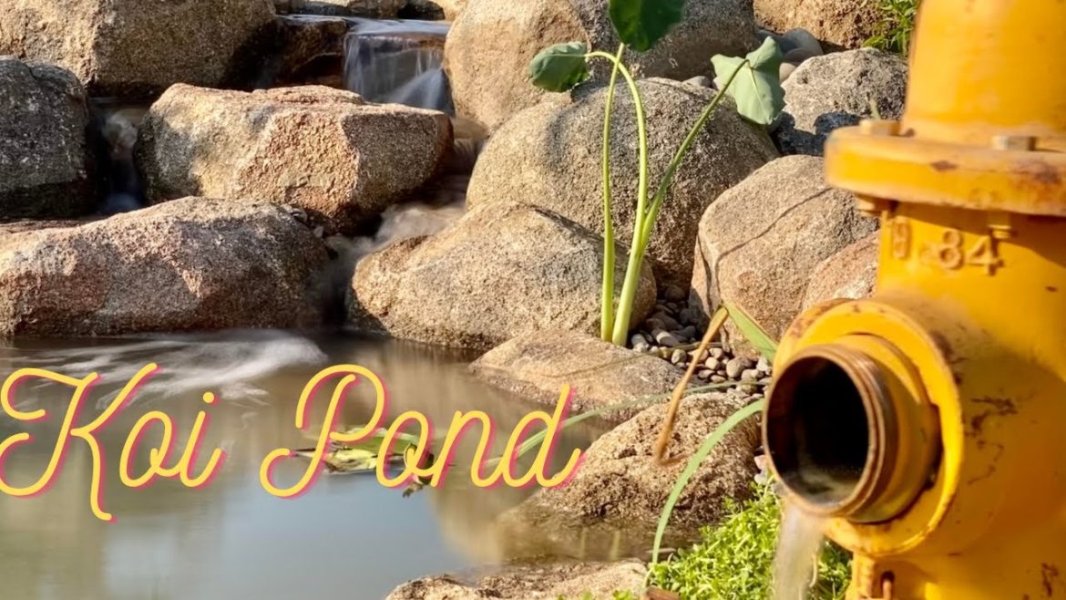Backyard Pond with 1 FIRE HYDRANT Fountain! Backyard Pond with 1 FIRE HYDRANT Fountain!