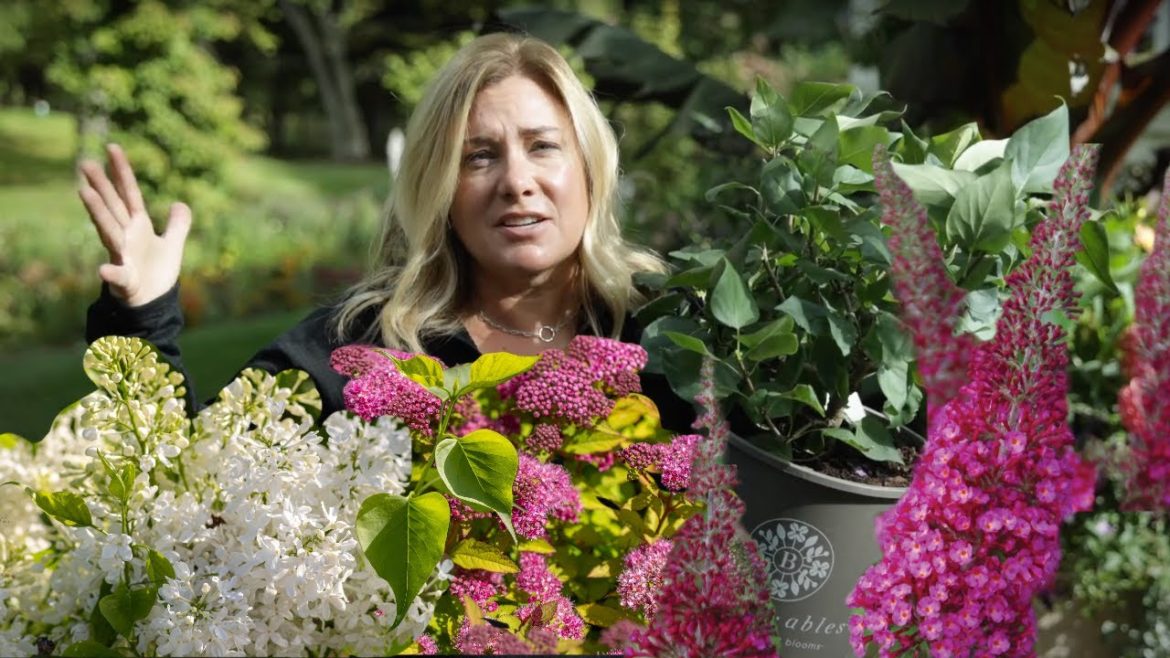 3 easy shrubs with multi-season interest 3 easy shrubs with multi-season interest