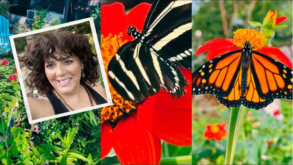 How I Keep my Huge Backyard Butterfly Garden Looking Lush | Vlog