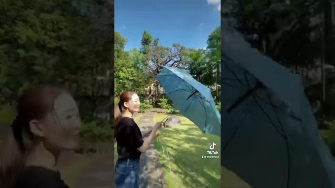 Japanese Garden Adventure #shorts #japan #anime