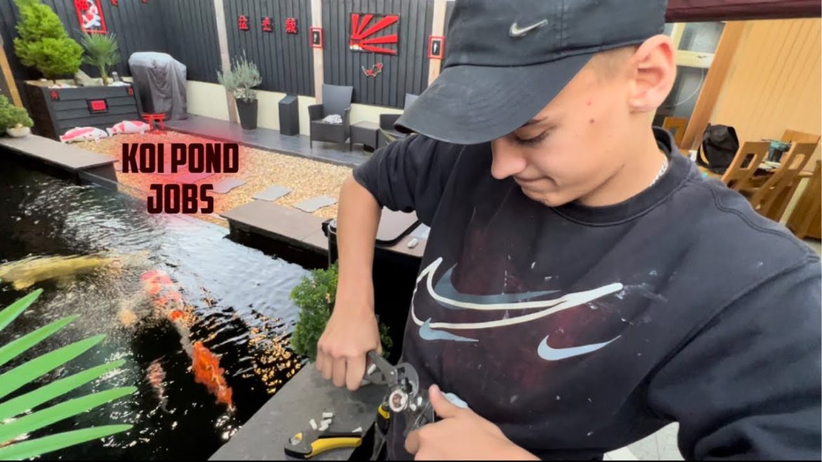 SO MANY KOI POND JOBS FINISHED A CRAZY IDEA THAT MY SON HAD TO HELP ME FIX SO MANY KOI POND JOBS FINISHED **A CRAZY IDEA THAT MY SON HAD TO HELP ME FIX**