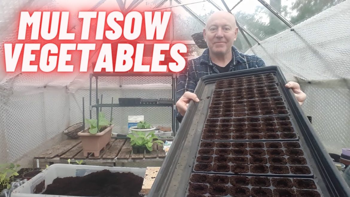 Multisow Vegetables [Gardening Allotment UK] [Grow Vegetables At Home ]