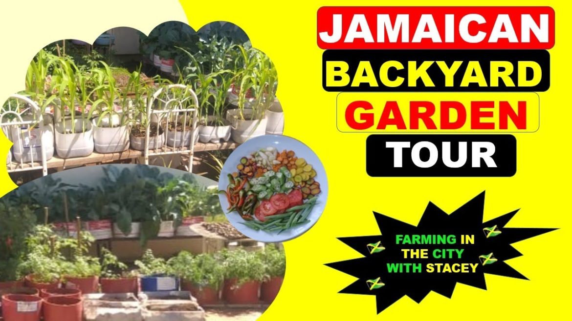 Jamaican Backyard Garden Tour (Farming In The City With Stacey)