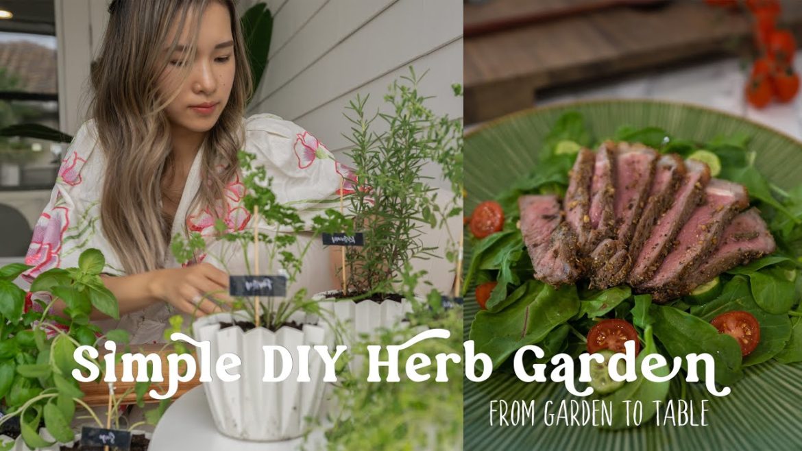 Simple & Fast Way to Grow Herbs at Home for Endless Supply | Indoor Herb Garden – Steak Salad Recipe Simple & Fast Way to Grow Herbs at Home for Endless Supply | Indoor Herb Garden - Steak Salad Recipe