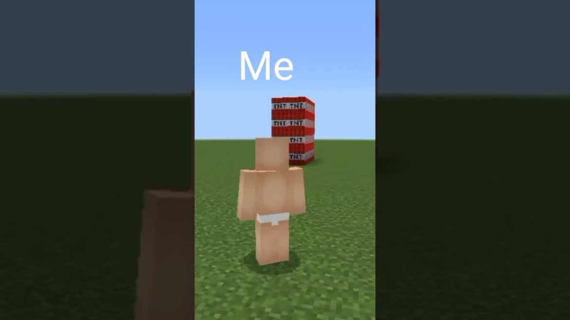 Minecraft Build #shorts #short #minecraft