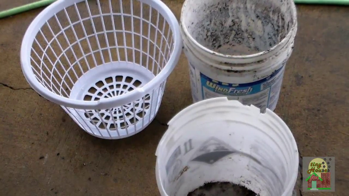 Buckets – Baskets – Grow Bags: Container Gardening on the Cheap! Buckets - Baskets - Grow Bags: Container Gardening on the Cheap!