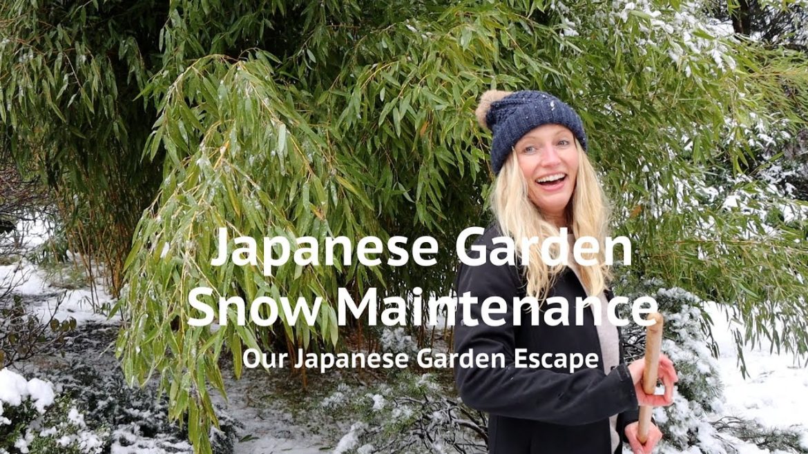 Japanese Garden Snow Maintenance | Our Japanese Garden Escape