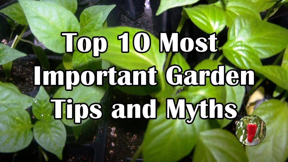 Top 10 Most Important Garden Tips, Tricks, and Myths. Top 10 Most Important Garden Tips, Tricks, and Myths.