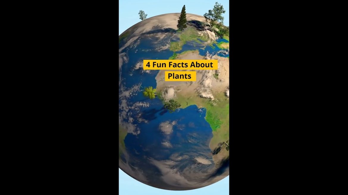Fun Plant Facts