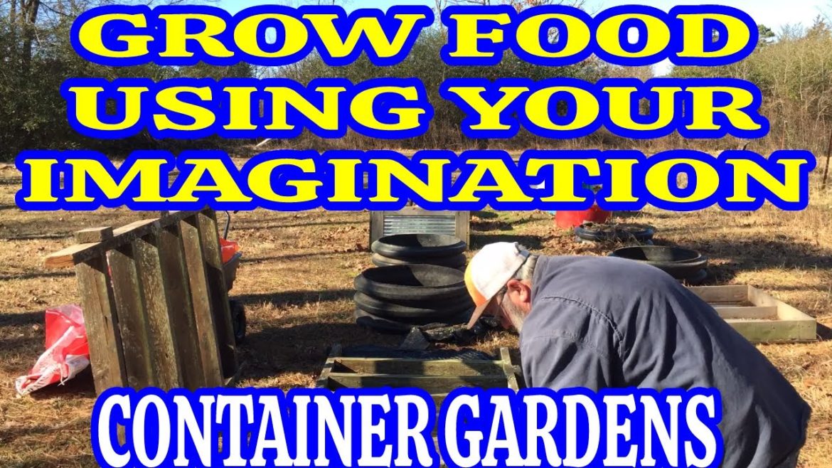 GETTING MY CONTAINER GARDEN READY FOR SPRING. GETTING MY CONTAINER GARDEN READY FOR SPRING.