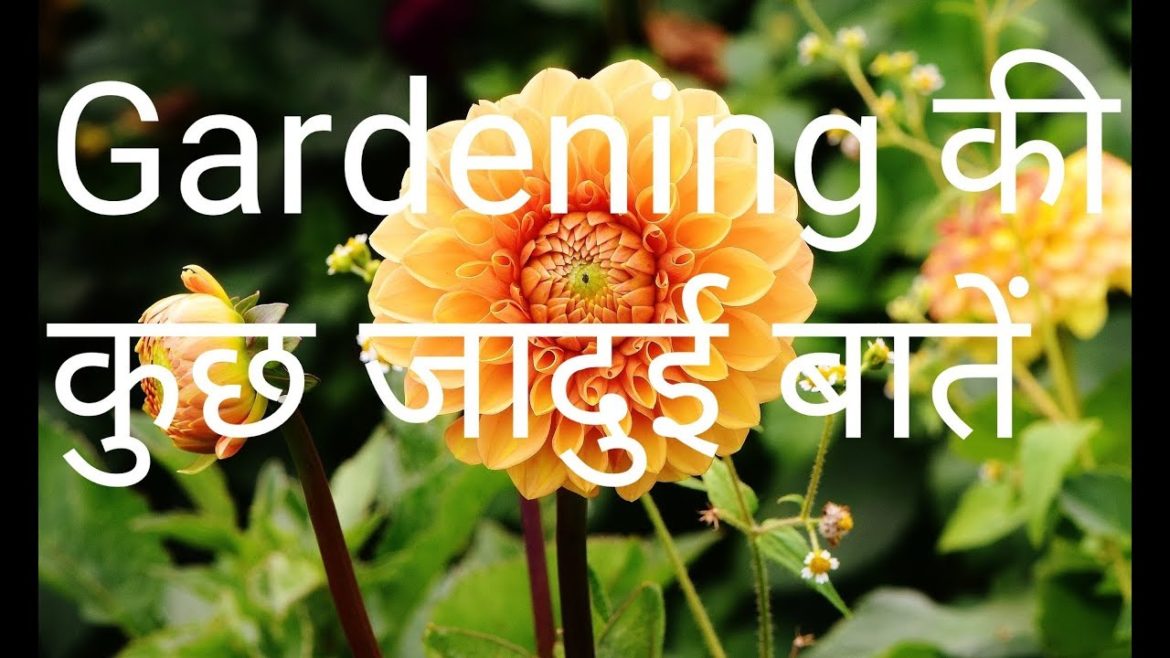 Basic Gardening Tips for Beginners // Garden management ideas