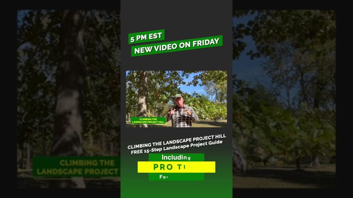 What’s coming Friday? | FREE Guide | DIY Landscaping