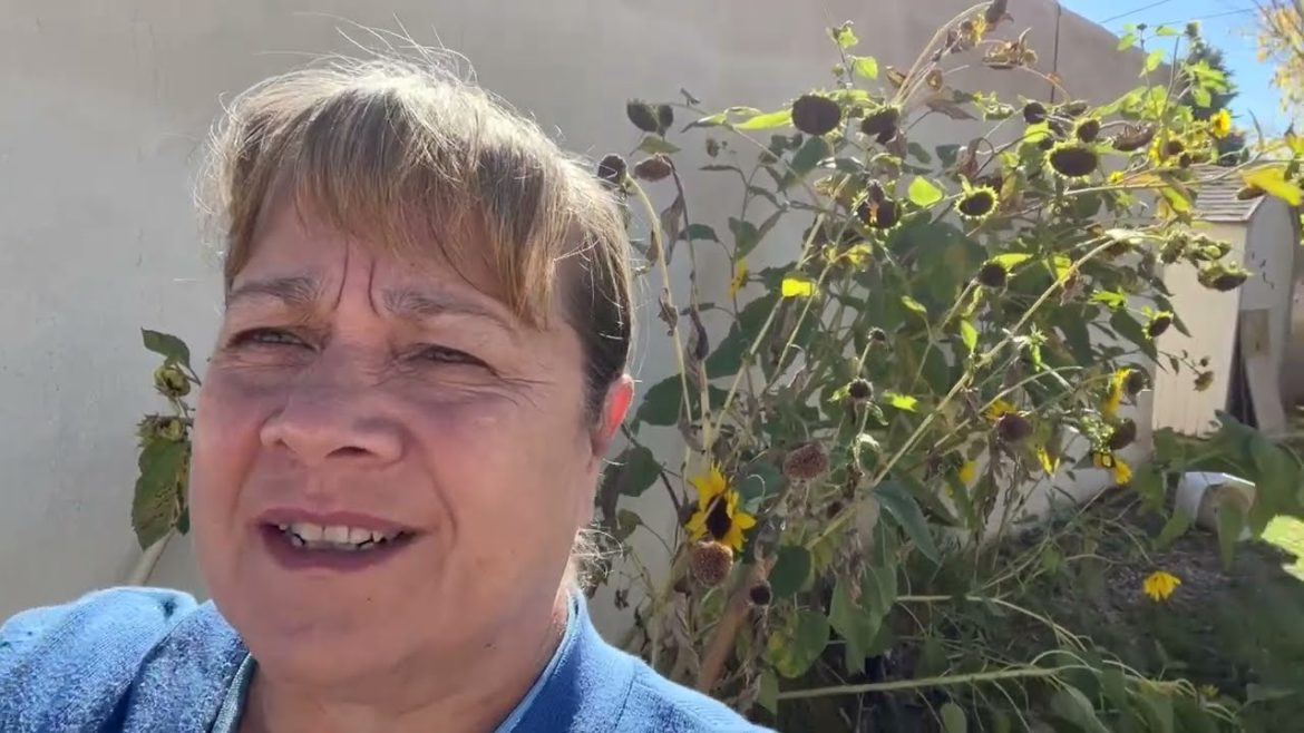 End of the Season My Desert Container Garden October 21