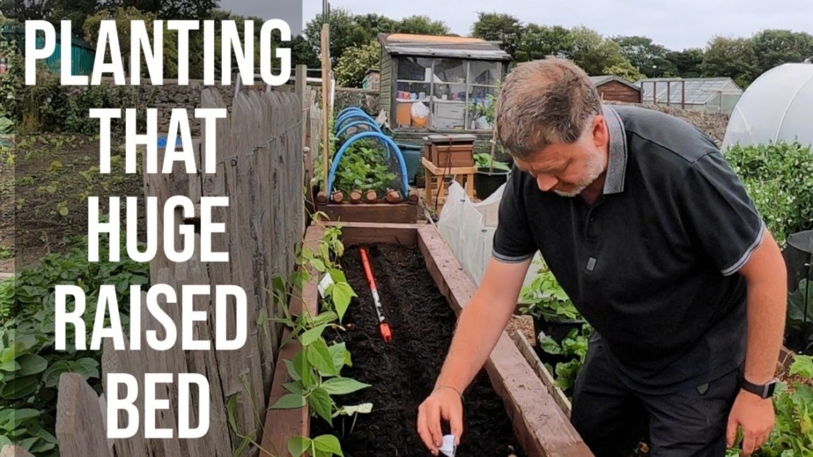 Garden Tips – How I Planted UpThat Giant Raised Bed Garden Tips - How I Planted UpThat Giant Raised Bed