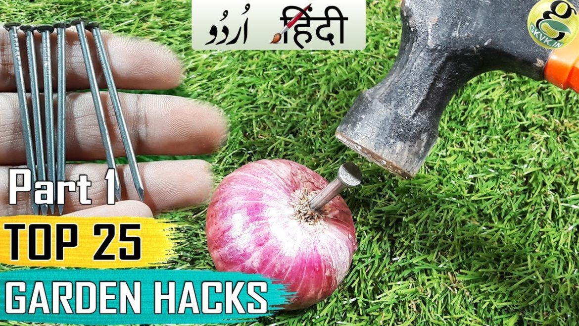 GARDENING TIPS AND HACKS: TOP 25 Garden Shortcuts and Ideas Compilation – Part 1 - Hindi Urdu