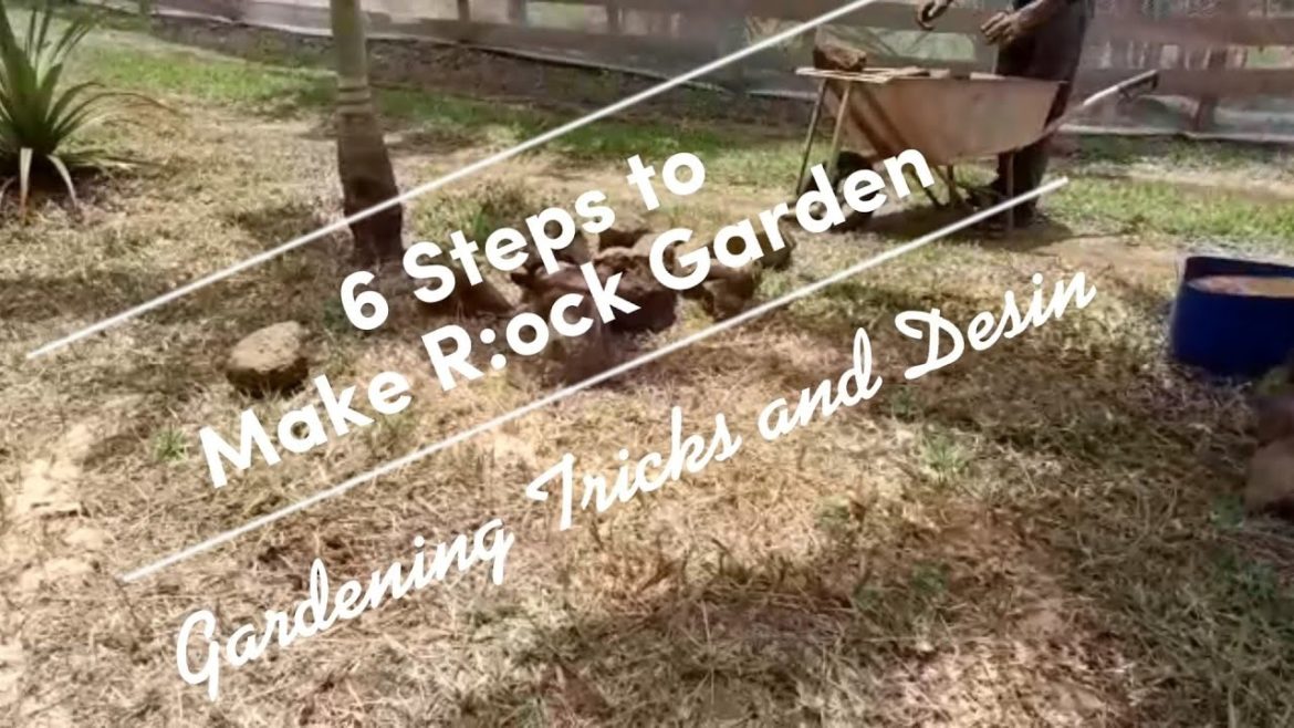 6 Easy Steps to Make a small Rock garden! #rocks #garden #design #diy